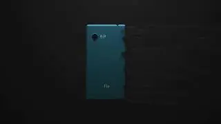 fly coral, HQ sound