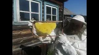 Кто жил в трубе старого дома? Мы купили дачу!