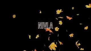 NIVLA - Bêta freestyle (Official Audio)
