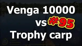 Trophy carp fight - Amber lake - #95 - Venga 10000