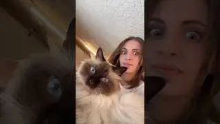 LA SOURIS MA FEINTÉ 🤣 et MITSU il s’est pas chassé !