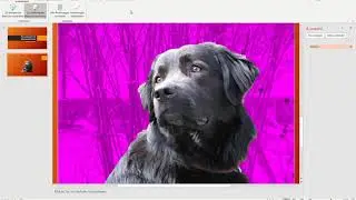 Bilder freistellen mit Powerpoint
