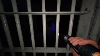 Он быстрый, он медленный, меня съели.