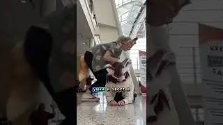 КТО ПРИДУМАЛ #КВАДРОБЕРОВ?!