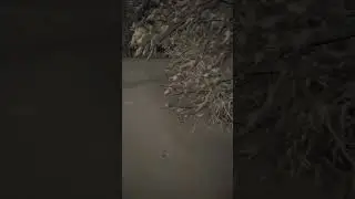 Binaural Audio - 4am Walk in the Snow