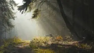 Правда о бесах, демонах и людях, руководимых ими