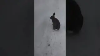 28 июля 2023 г.