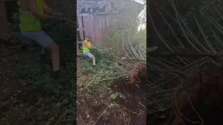 5 дней за 50 сек! 5 days in 50 seconds! 5 dager på 50 sek!