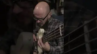 Как басисты пишут партию