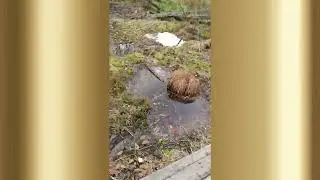 Заброшки