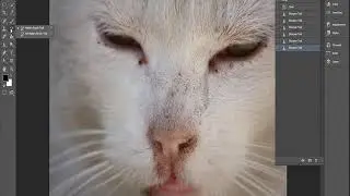 DİJİTAL FOTOĞRAFÇILIK keskinlestirme