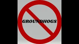 Get RID of Groundhogs