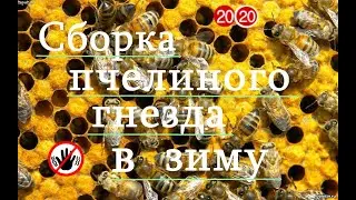Сборка пчелиного гнезда на зиму  Пчеловодство 2020