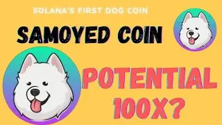 SAMOYED COIN UPDATE - BREAKING ALL TIME HIGH