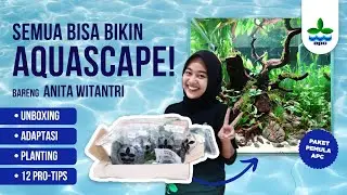 dari PAKET jadi AQUASCAPE! - Tutorial Paket Pemula 