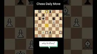 chess daily move 