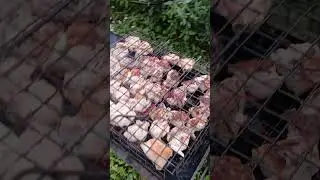 Шашлык струячим