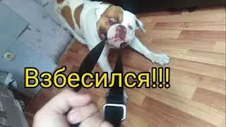 Игра ,в перетягивание, Граф в деле!