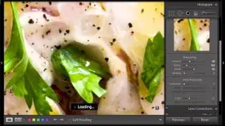 LR 4: Noise Reduction, Sharpening, Adding Vignette and Grain