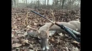 Deer season 2023, Taking two 8 pointer's with the .243
