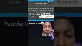 Error code 273 💀 