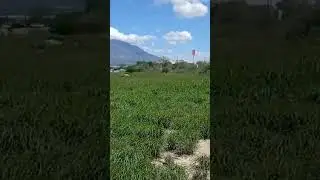 6 de octubre de 2022