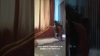 Мотивация проста - просто бери и делай 