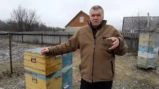 Облёт маток.  Вопрос к пчеловодам которые занимаются двухматочным пчеловождением.