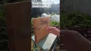 16 сентября 2023 г.