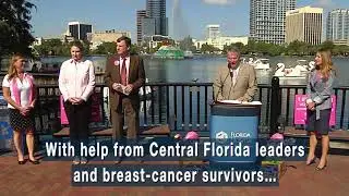 Move Over Flamingos, this Orlando Swan is Turning Pink