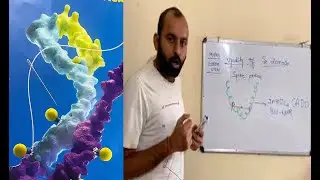 #DRUGS#DRUG CONJUAGTES#ANTIBODY DRUGS#Fragmented antibody drugs for covid 19#Peptide Conjugate Drugs