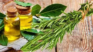 El ACEITE DE OLIVA con LAUREL y ROMERO🌿 beneficios para tu salud, alivia dolores