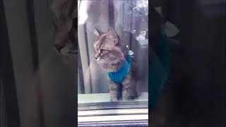 🌷Добро пожаловать в весну🌷