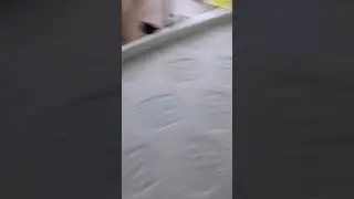 6 сентября 2022 г.