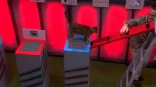 Battle Cats | Ep. 4 | Pt. 3