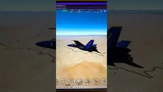 Flight simulator 