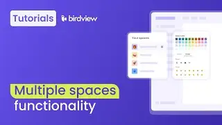 Multiple Spaces | Birdview tutorial