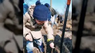Sadziliśmy las w Orzechowie nad Wartą