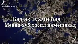 Бад аз Тухми Бад Мевай хуб Хосил Намешавад 19 мая 2021 г.