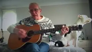 Driving home for Christmas - Chris Rea - Cover
