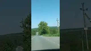 південий буг  семенки