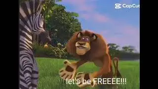 i  can fly now