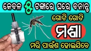 କେବଳ ୫ ଟଙ୍କାରେ ଘରେ ବନାନ୍ତୁ ମଶା ମାରିବାର ଲିକ୍ୟୁଇଡ, ଦୁଇଟି ଜିନିଷରେ | Homemade Mosquito Repellent Refill