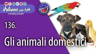 136. Gli animali domestici