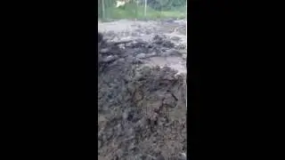 планировка в болотистой местности
