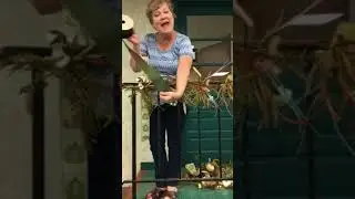 Decorate your staircase for fall/ DIY How to with Dee’s