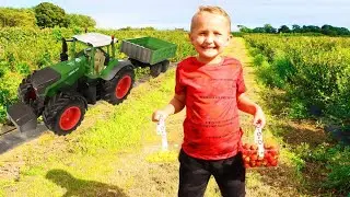 Maxi Visits a Fruit Farm with his Toy Tractor | Tractor Driving on a Farm