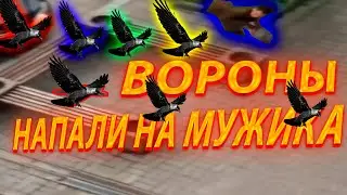 Батюшка зачитал исповедь под битбокс / Вороны-убийцы напали на мужика в центре Киева