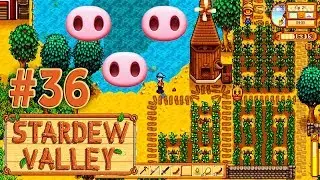 Три свиньи и мельница ☀ Stardew Valley Прохождение #36