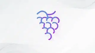 How to verify your wallet in the Grape Community Discord Server